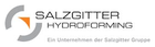 Salzgitter Logo